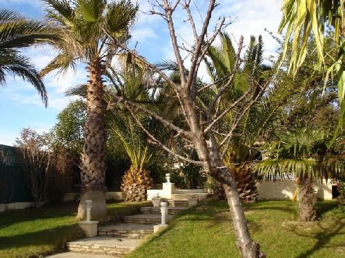 Vente villa t4 t5 marseille 13eme 13013