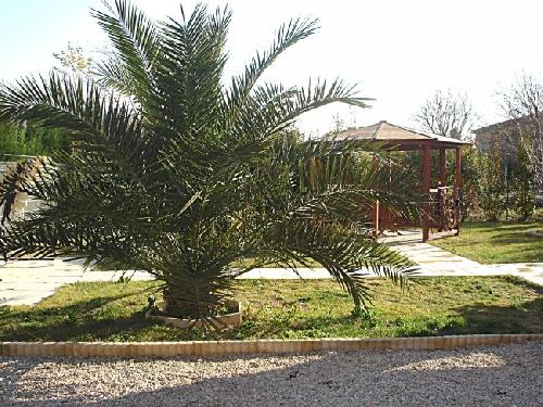 Vente appartement t3 chateau gombert technopole 13013 marseille 13eme 13
