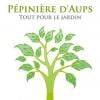 PEPINIERISTE PAYSAGISTE AUPS PEPINIERE D'AUPS  