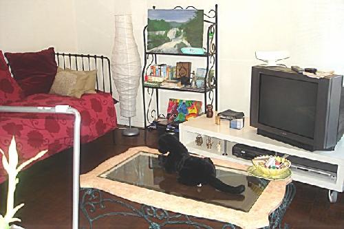 Location appartement t3 marseille 13eme 13013