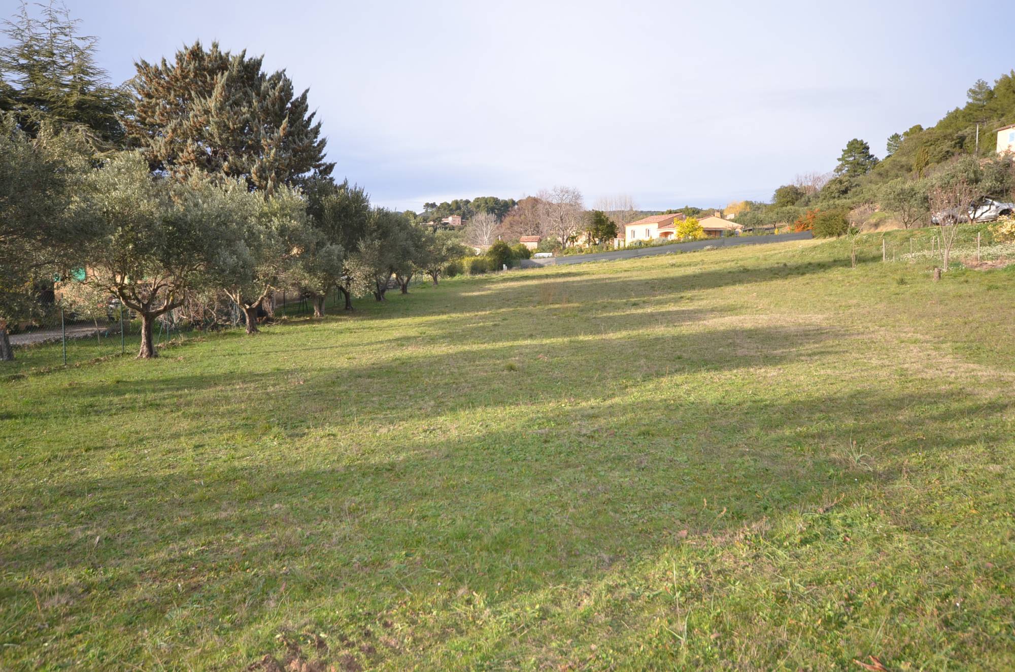 ACHAT D'UN BEAU TERRAIN A BATIR  de 1250M2 PROCHE CENTRE VILLAGE D'AUPS