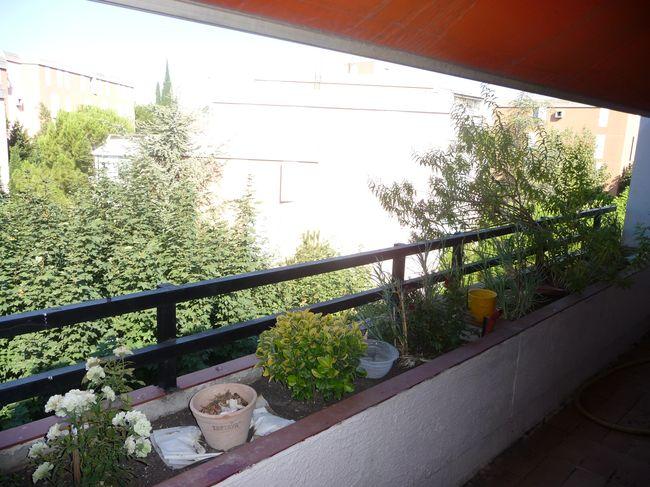 Location NOTRE AGENCE IMMOBILIERE SPECIALISTE SUR ALLAUCH PLAN DE CUQUES CHATEAU GOMBERT 11EME 12EME 13EME VOUS PROPOSE SON APPARTEMENT T3 F3 TYPE 3  AU 4EME ETAGE TERRASSE PROX COMMODITES PLAN DE CUQUES 13380 13