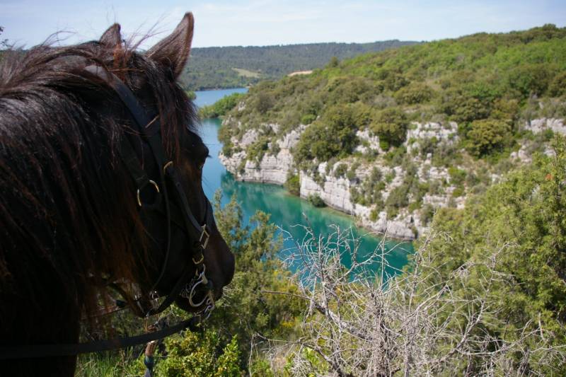 EQUITATION ARTIGNOSC-SUR-VERDON LES CHEVAUX DU VERDON