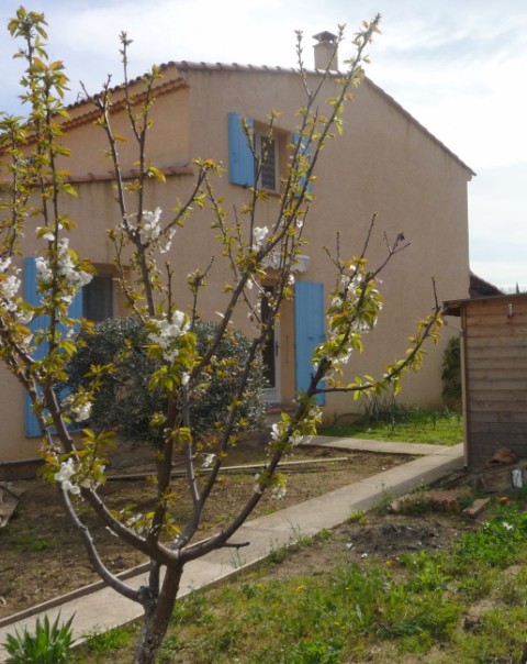 Vente T3 MARSEILLE 13EME LA ROSE DANS PETITE COPROPRIETE DE 3 APPARTEMENTS BEAU T3 EN RDJ PROX COMMODITES