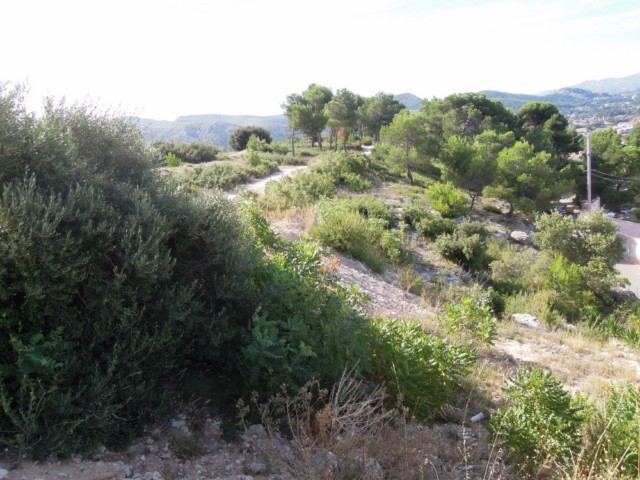 Vente ALLAUCH SUPERBE TERRAIN 700m² AVEC VUE PANORAMIQUE