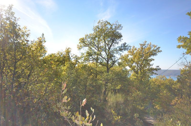 Vente TERRAIN AIGUINES 83630 -  A LA VENTE - TERRAIN DE LOISIRS INCONSTRUCTIBLE DE 3500m²