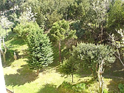 Location appartement t3 saint jerome marseille 13eme 13013 13