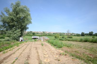 Vente CABANON AGRICOLE  PUIMOISSON