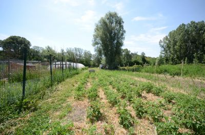 Vente CABANON AGRICOLE  PUIMOISSON