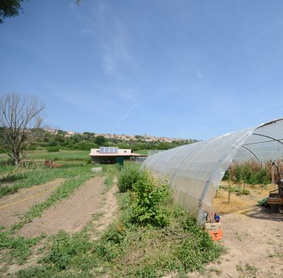 Vente CABANON AGRICOLE  PUIMOISSON