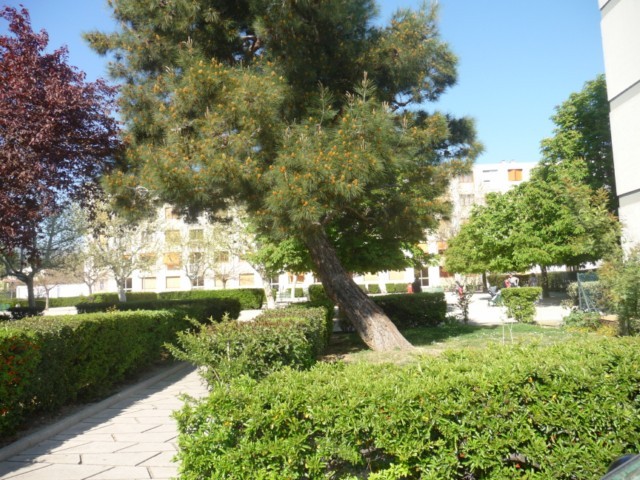 Location Appartement T2 MARSEILLE 13EME ST MITRE A LOUER -  RESIDENCE FERMEE - PROCHE TOUTES COMMODITES