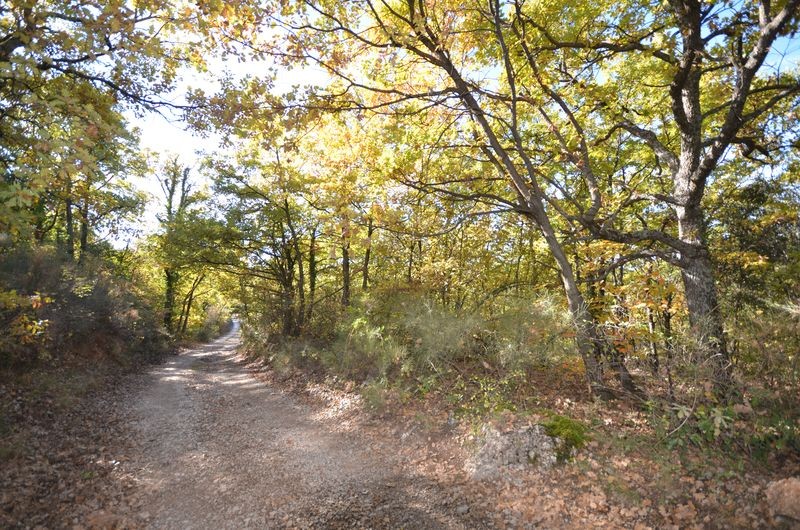 Vente TERRAIN AIGUINES 83630 -  A LA VENTE - TERRAIN DE LOISIRS INCONSTRUCTIBLE DE 3500m²